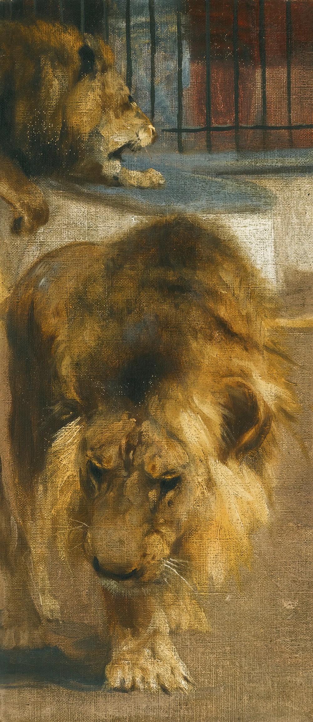 Lions