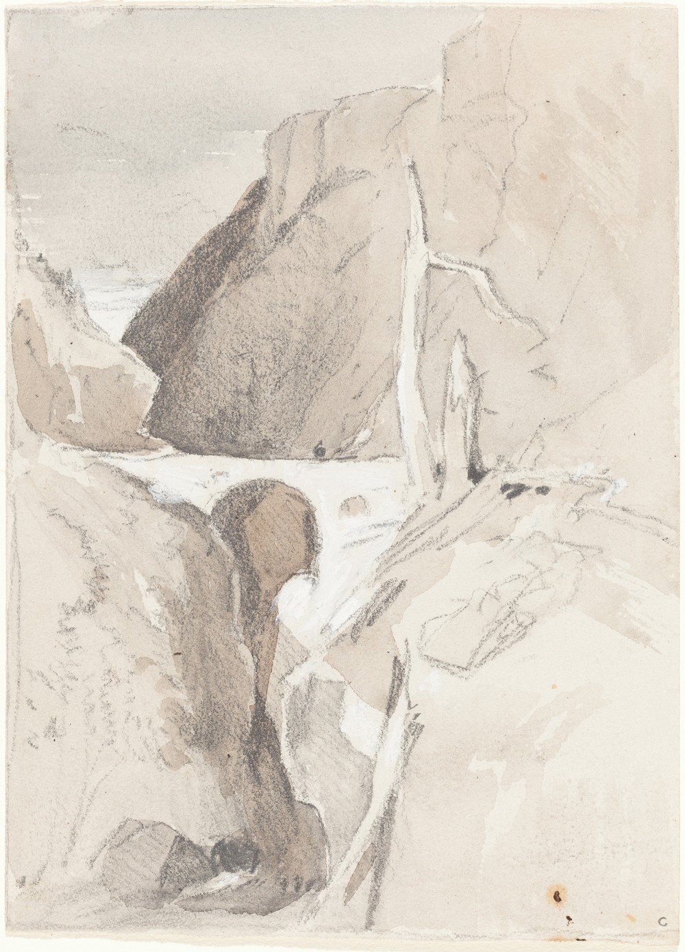 Gorge with Tree Stumps