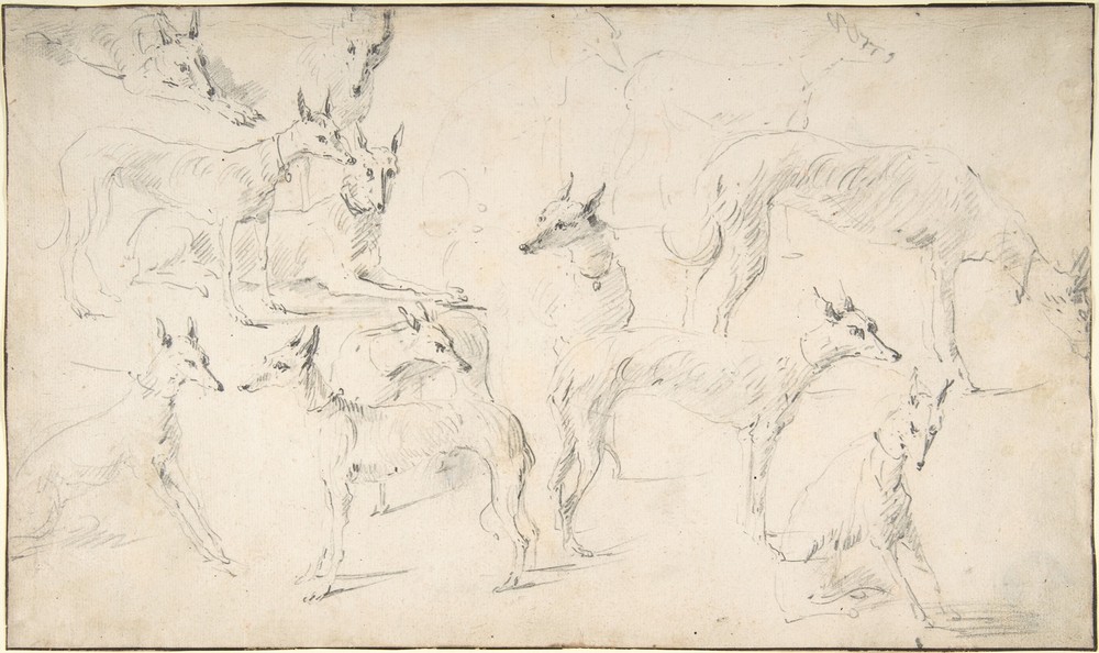 Studies of Hounds (17th century)