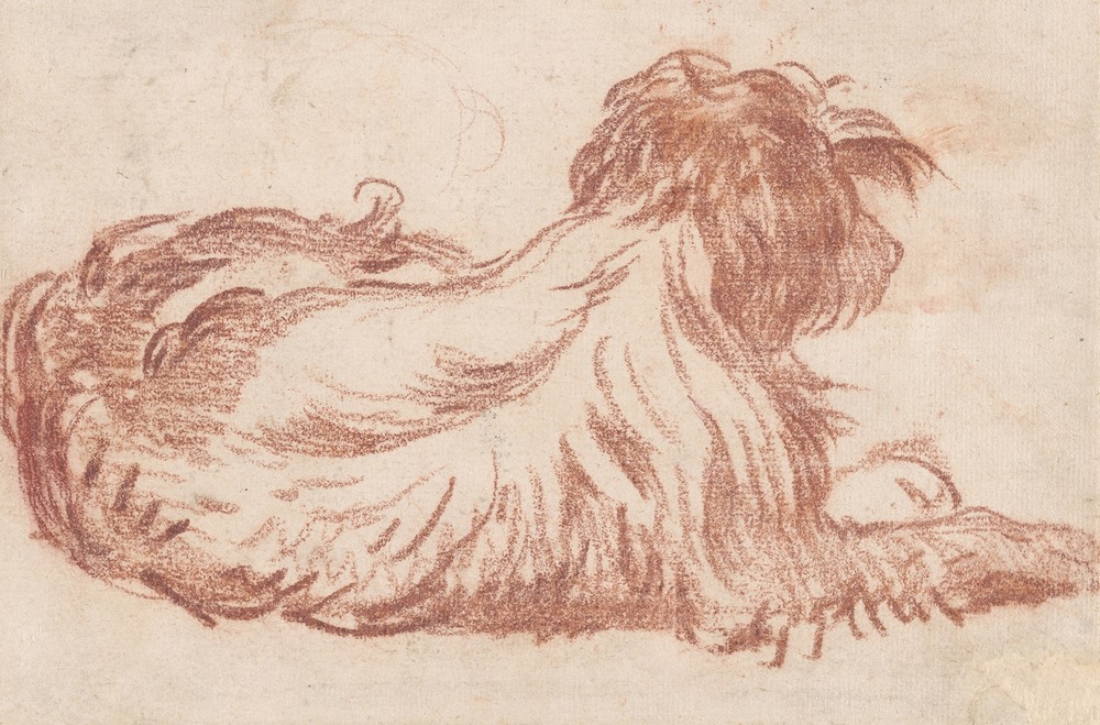 A Dog (c. 1760)