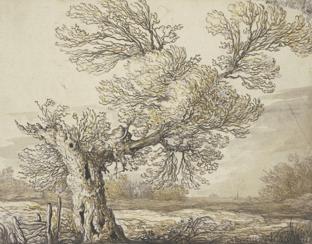 Landscape near Dordrecht (ca. 1640 – 1645)