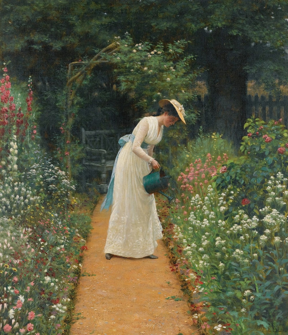 My Lady’s Garden