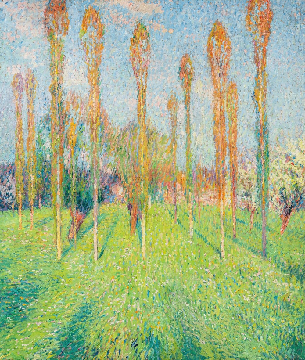 Prairie ensoleillée aux peupliers