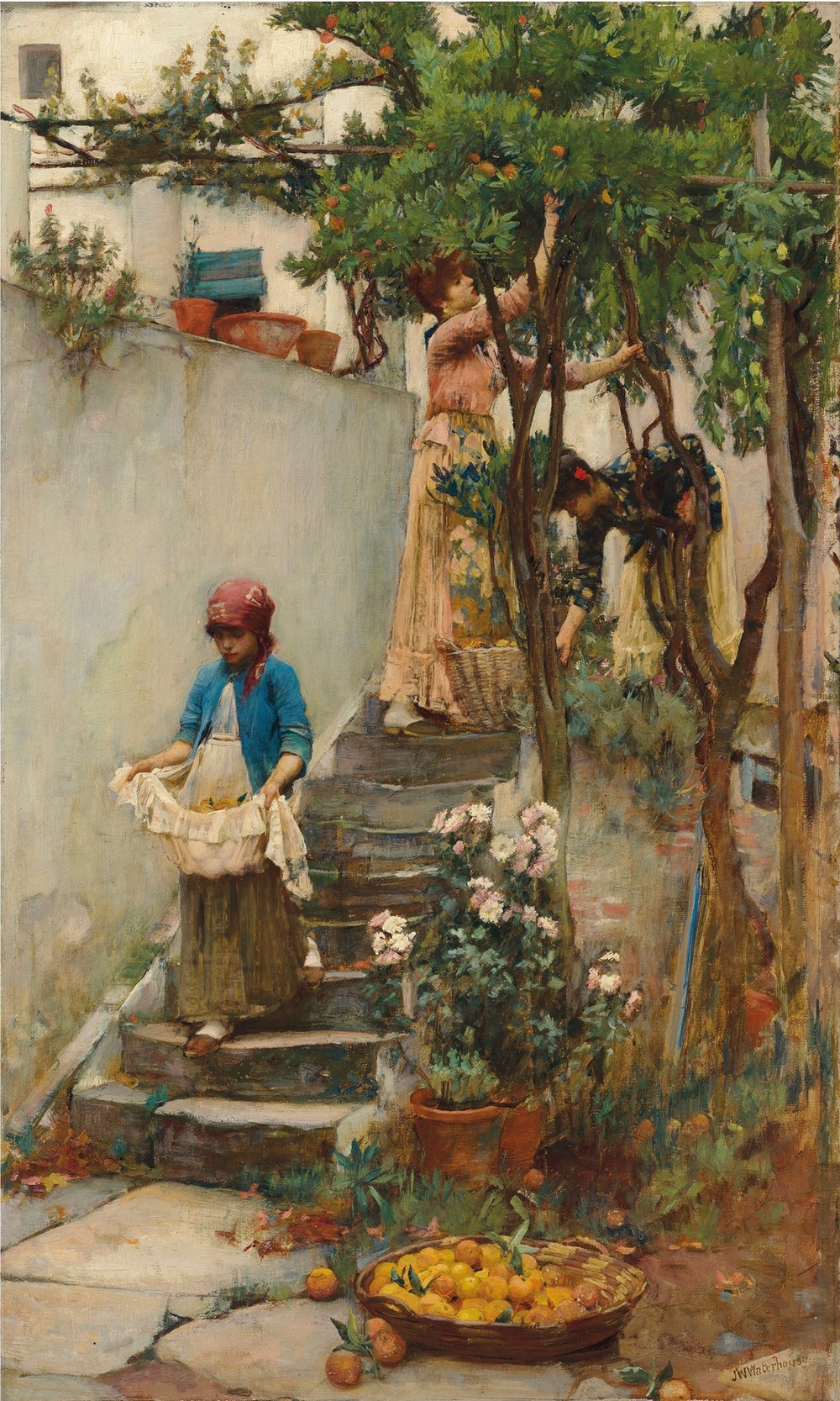 An Orange Garden