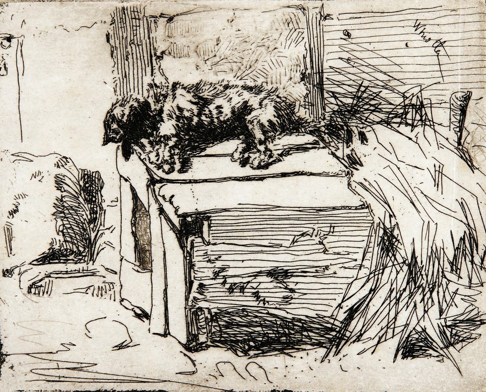 The Dog On The Kennel