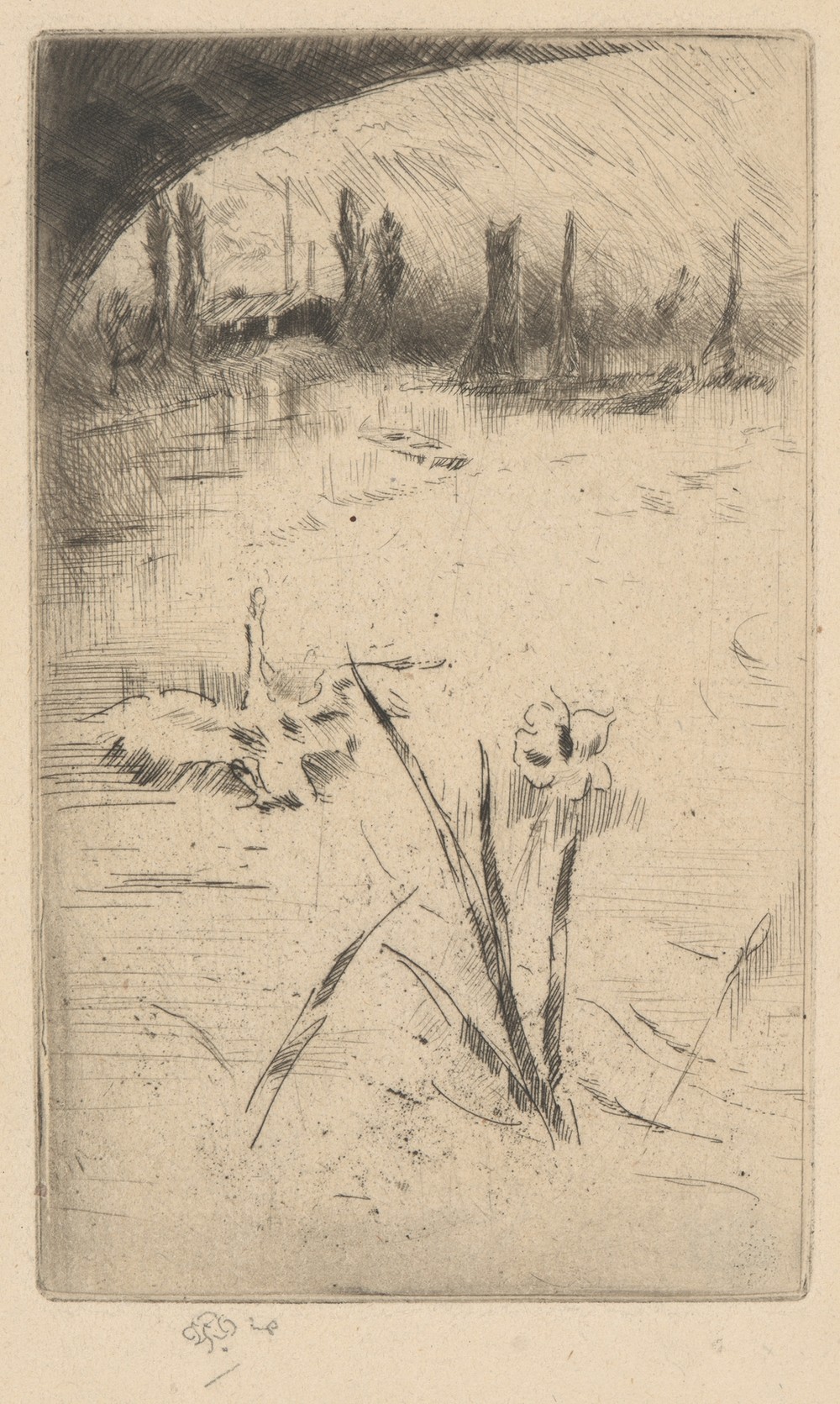 Swan and Iris (ca. 1883)