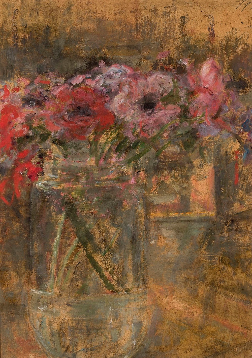 Flowers – Anemones