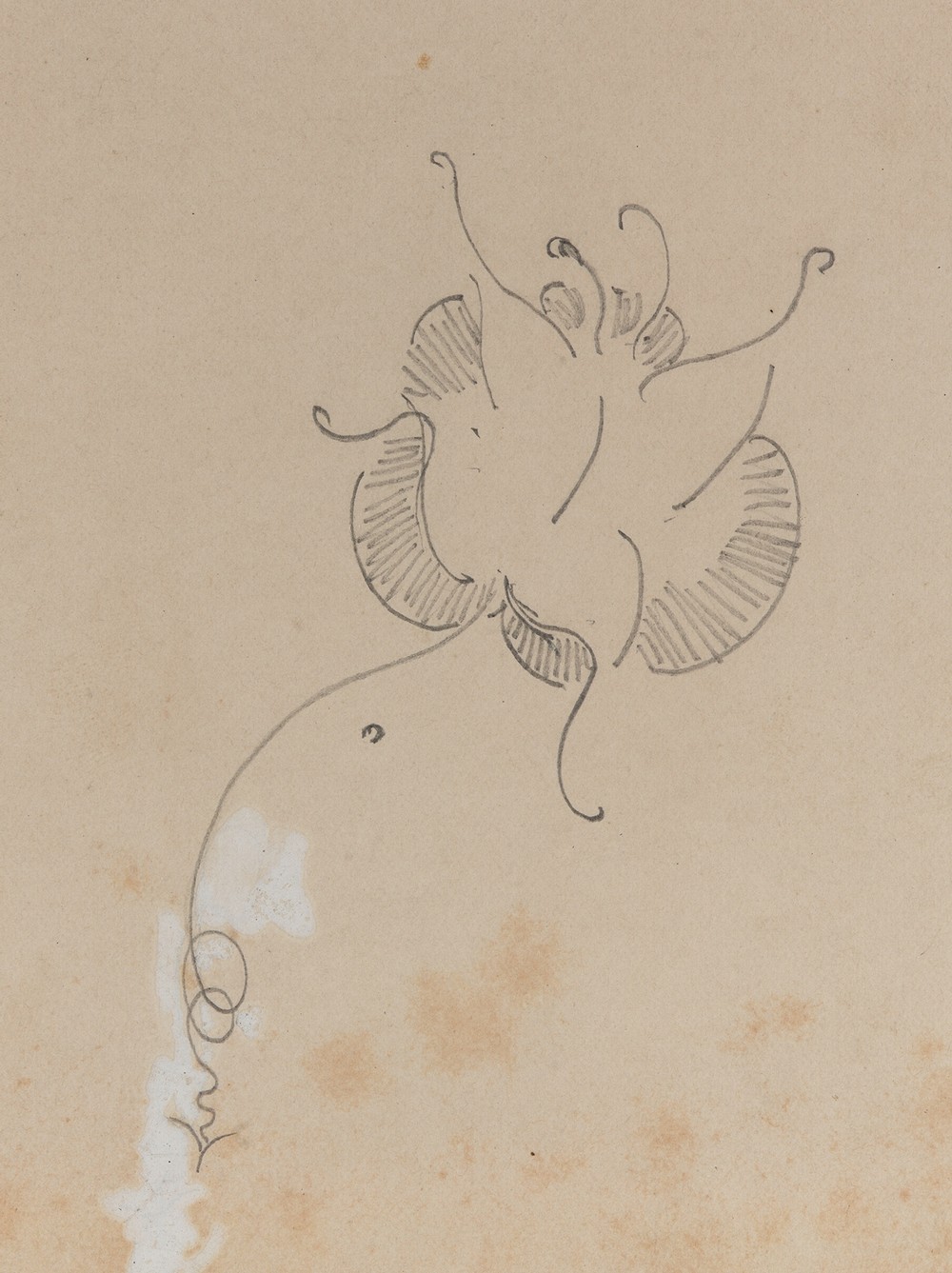 Whistler’s Butterfly