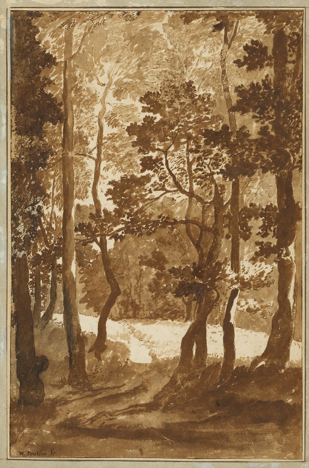 A Path Leading into a Forest Clearing