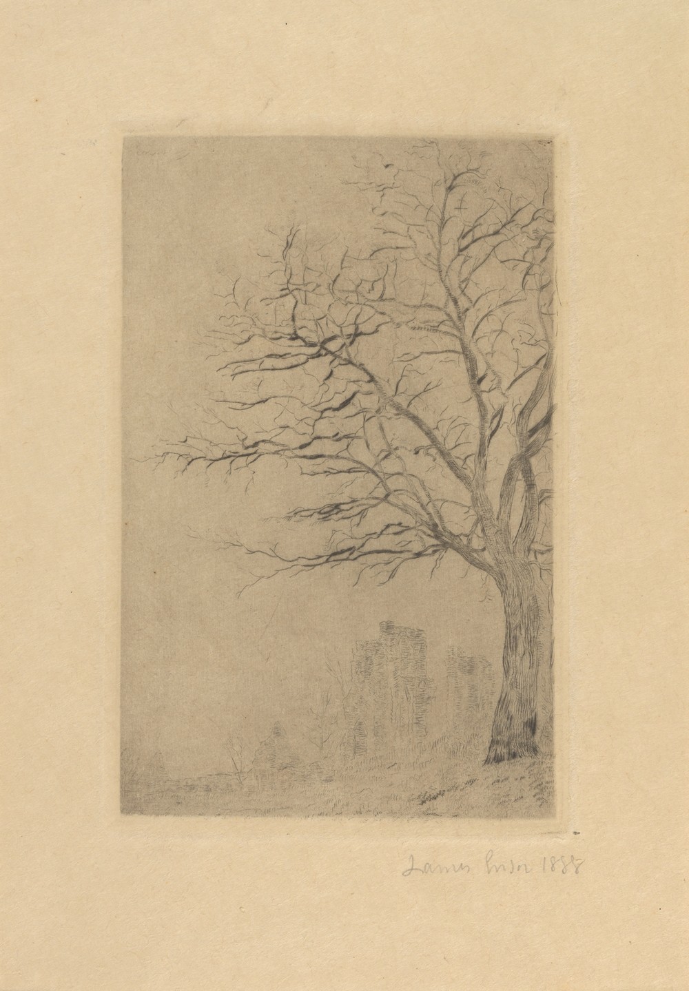 Acacia