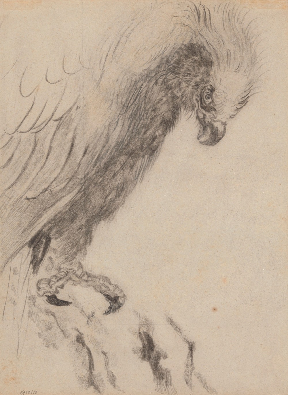 Chinoiserie, a Bird of Prey