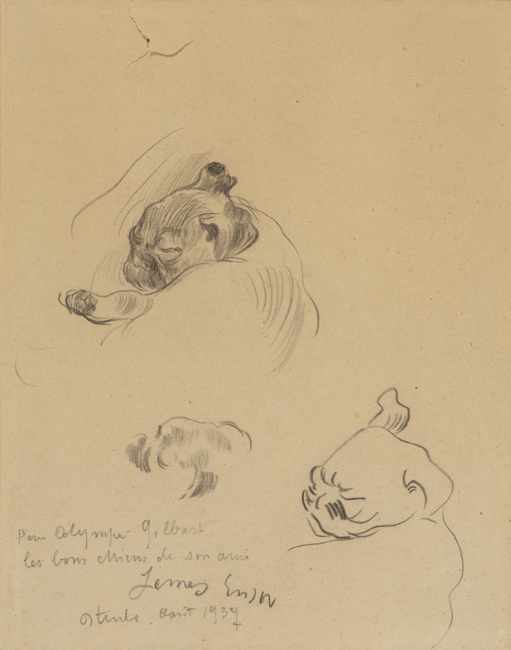 De honden