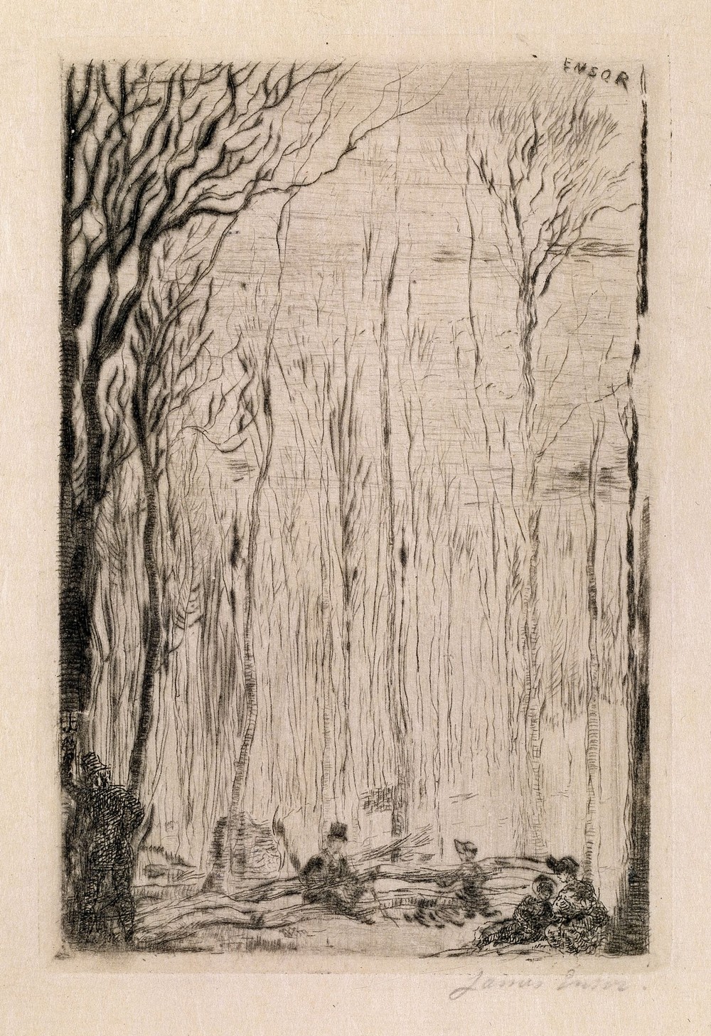 Forest at Groenendael