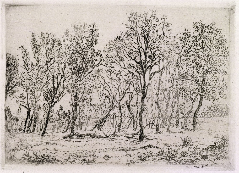 Group of Trees