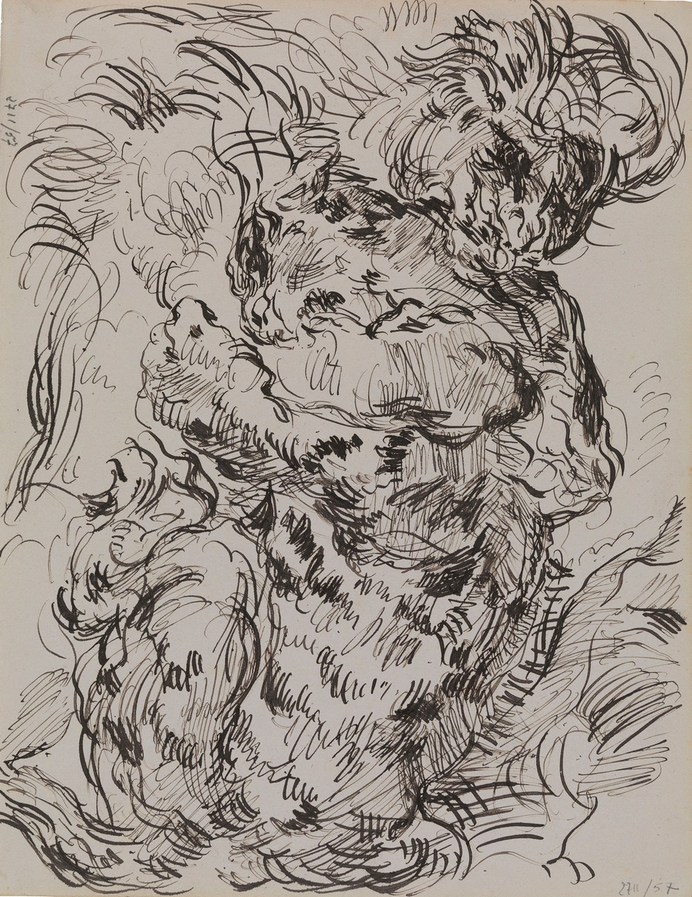 Lion and Tiger in Combat