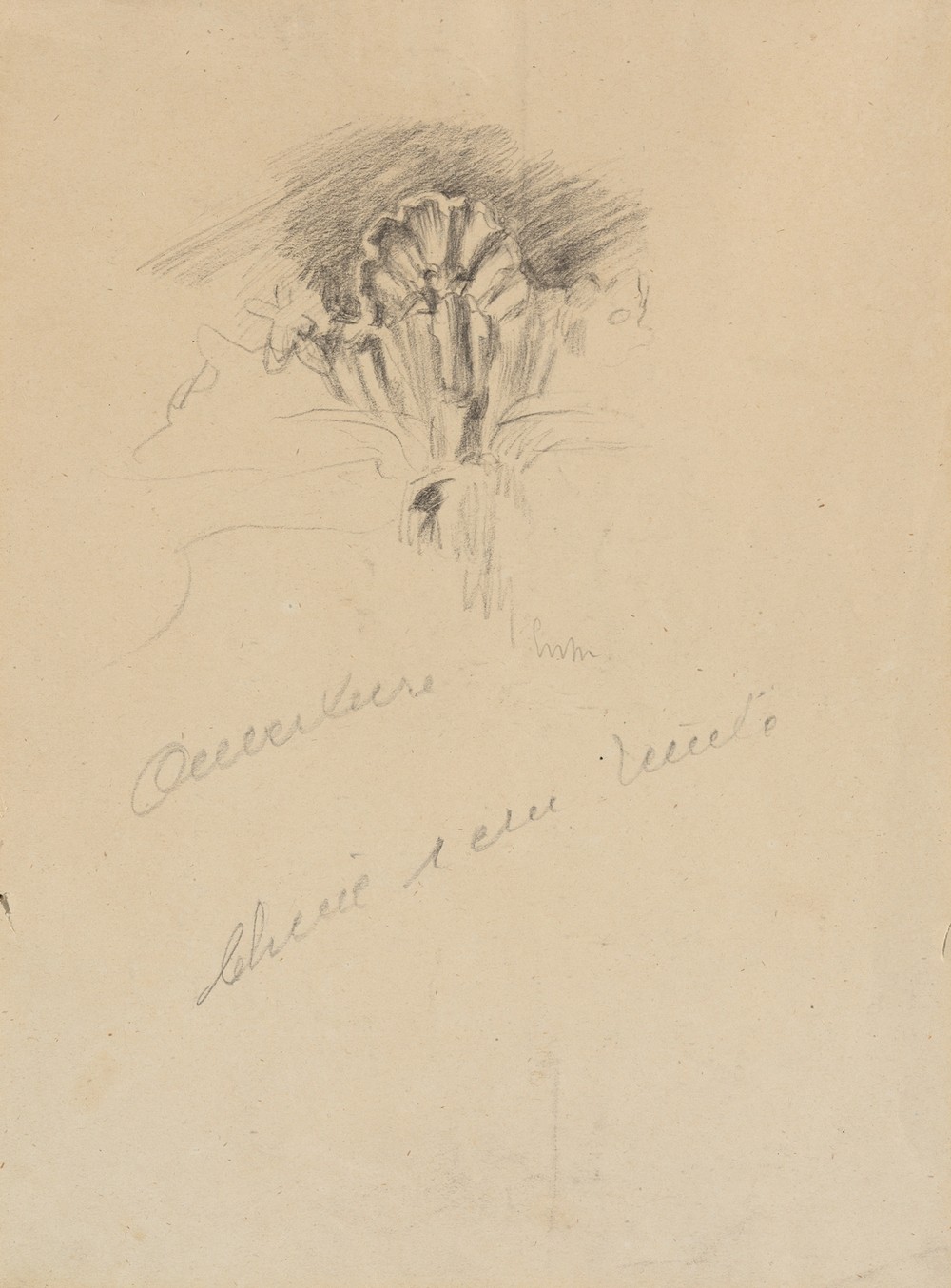 Rocaillemotief