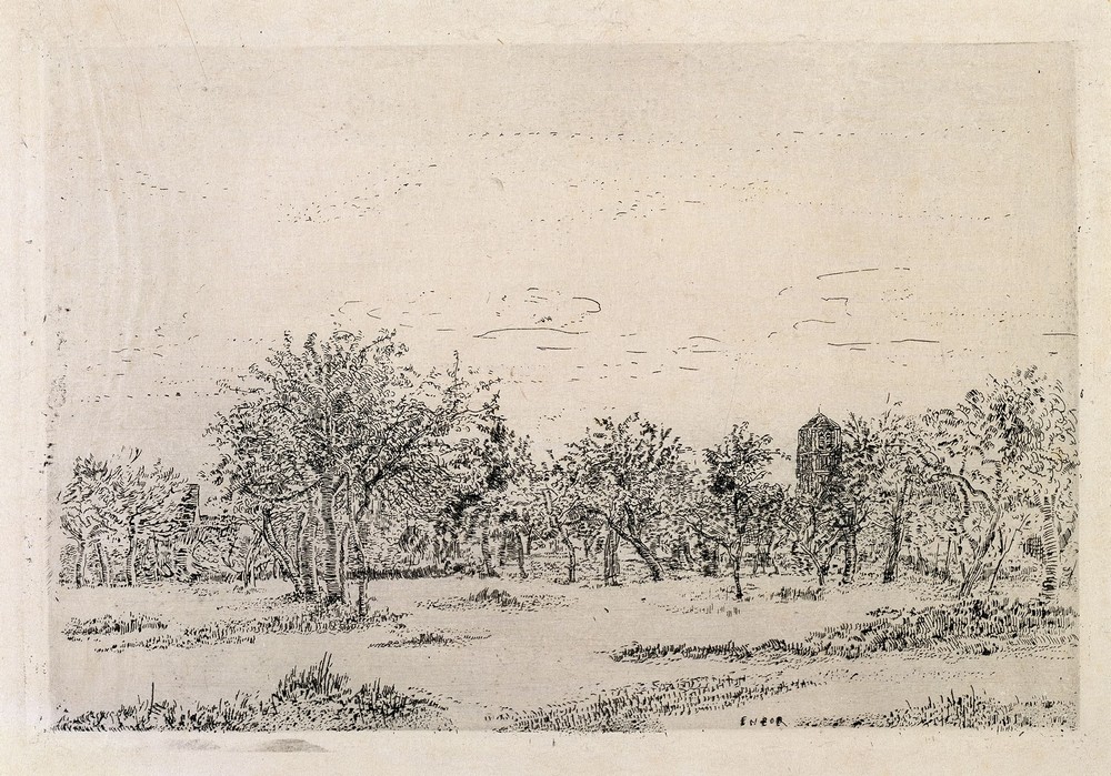 The Orchard