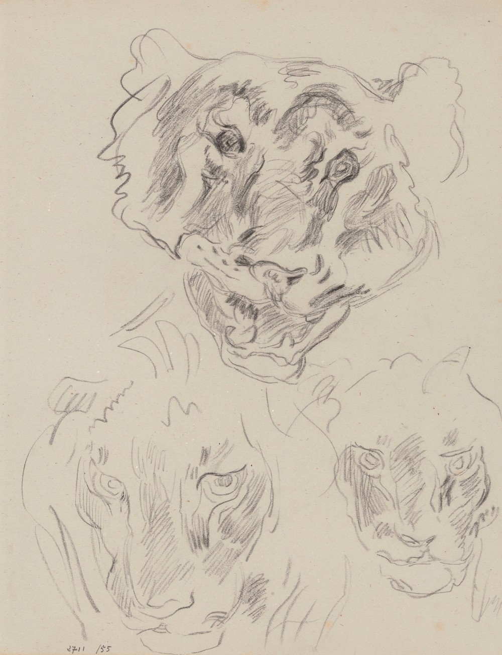 Three Heads of Wild Animals
