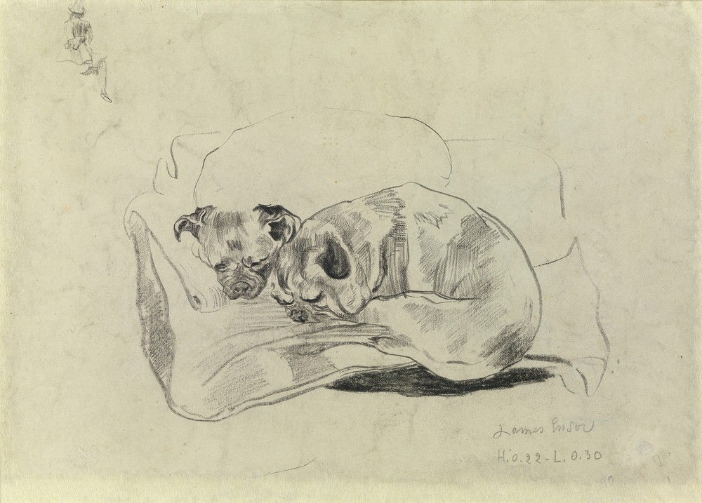 Two Dogs