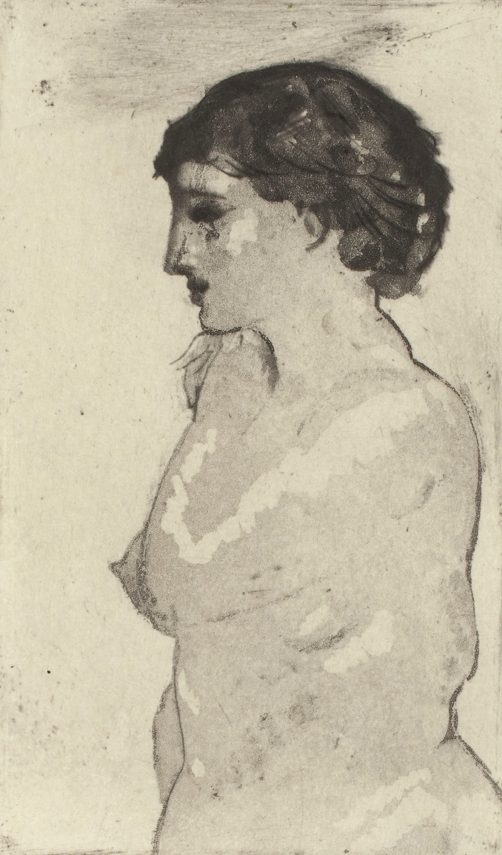 Pompeian Veil