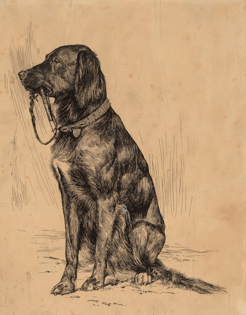 Aldrich’s Dog (late 1880s)
