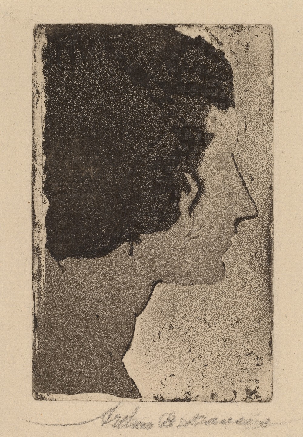 Profile