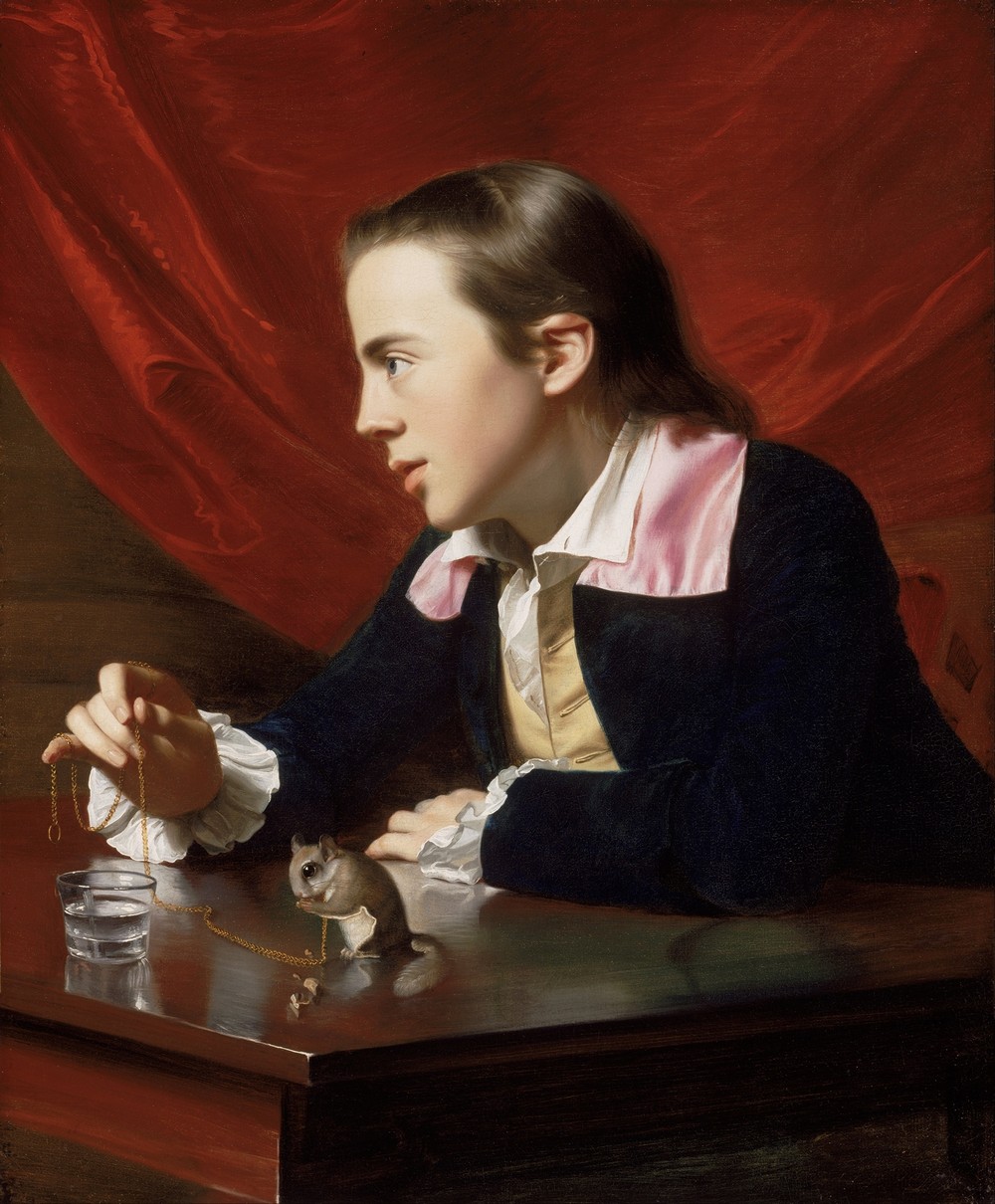 A Boy With A Flying Squirrel (Henry Pelham)