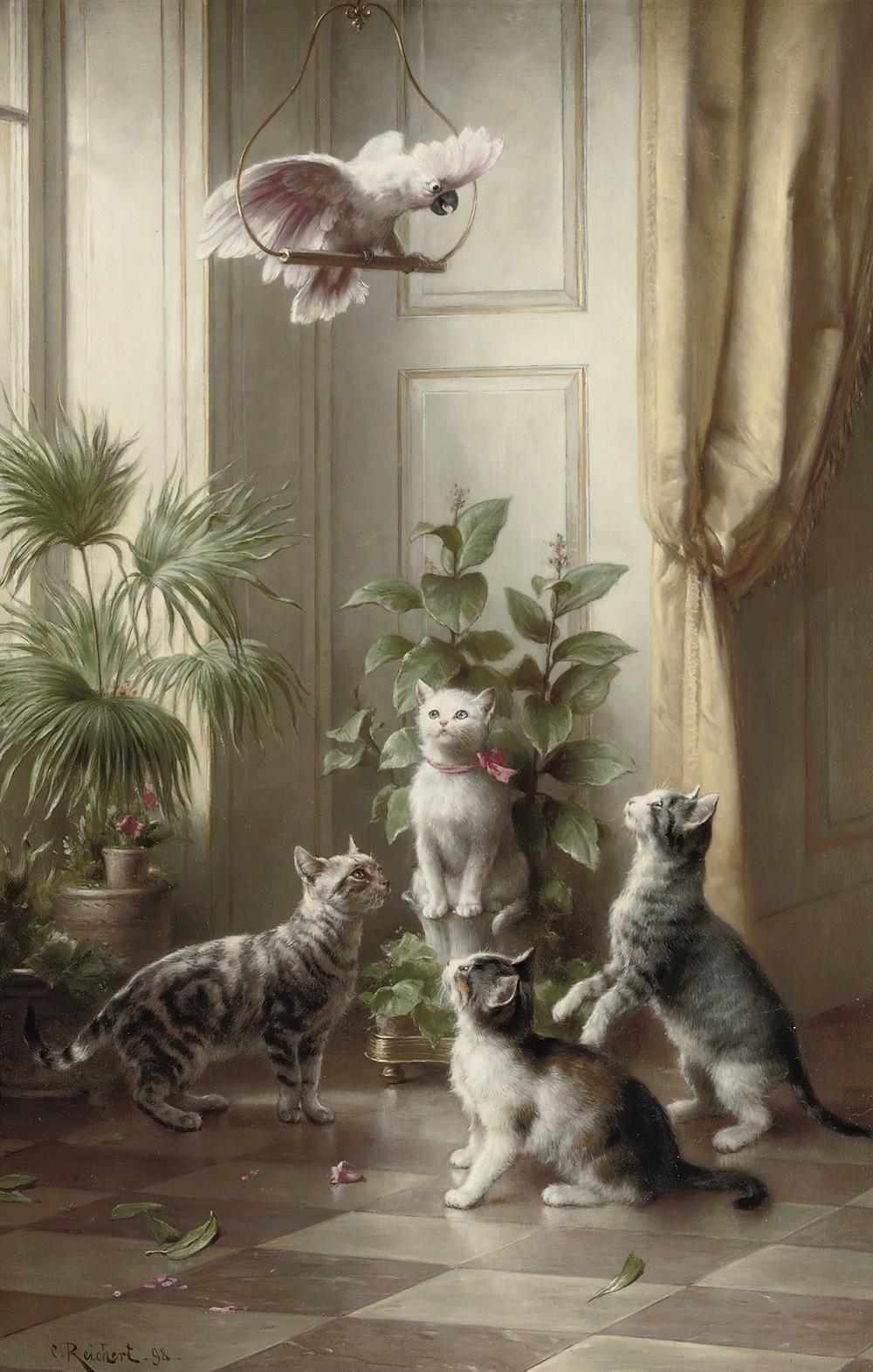 Cats and the cockatoo
