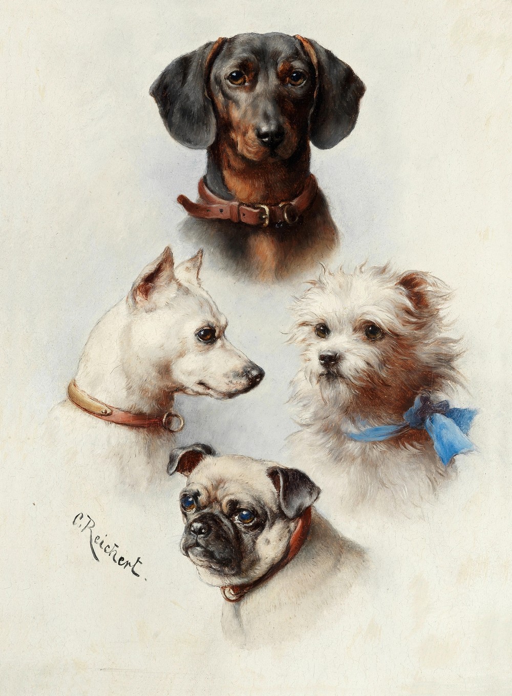 A motley crew
