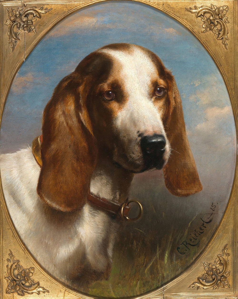 A Hunting Dog