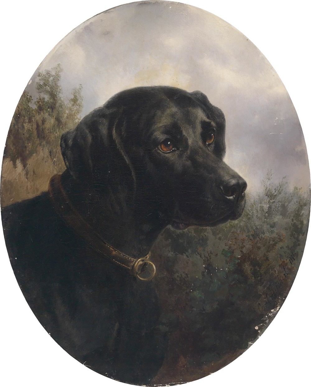 Hector