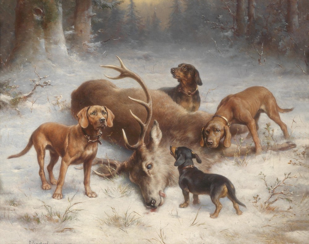 Schweißhunde mit erlegtem Hirsch