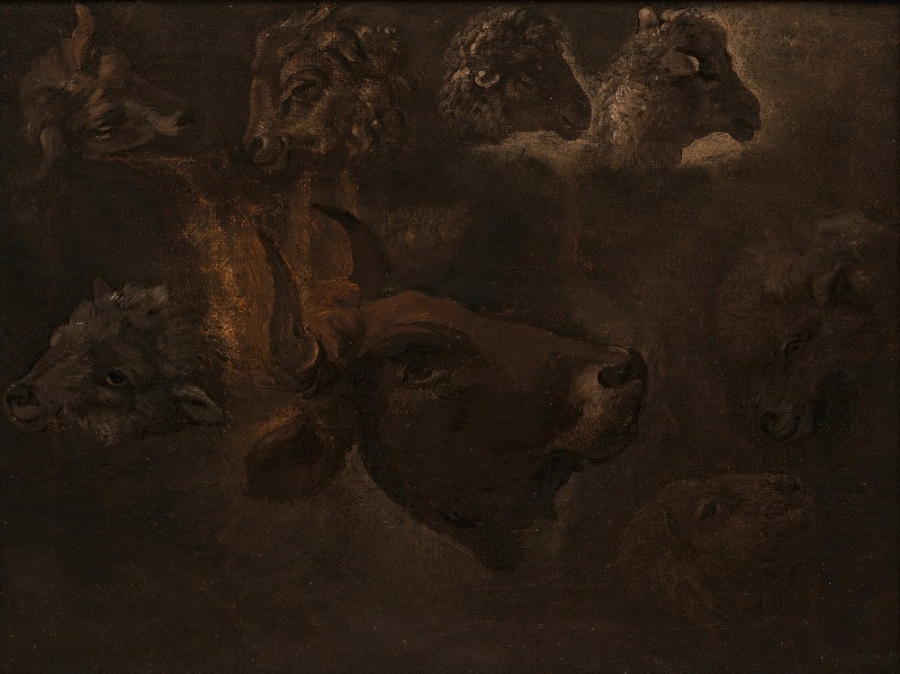 Studies of Animal Heads (between 1835 and 1840)