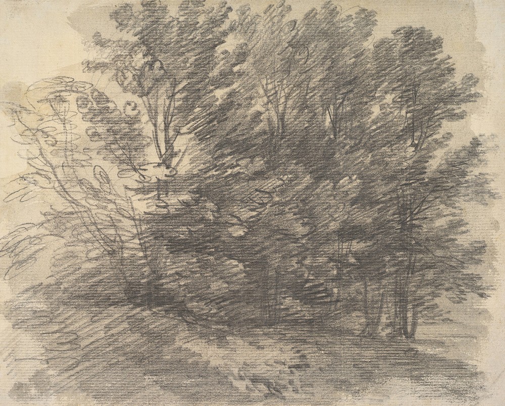 A Clump of Trees (ca. 1757)