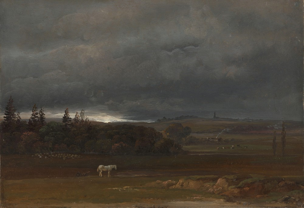 Fields near Dresden with a white Horse