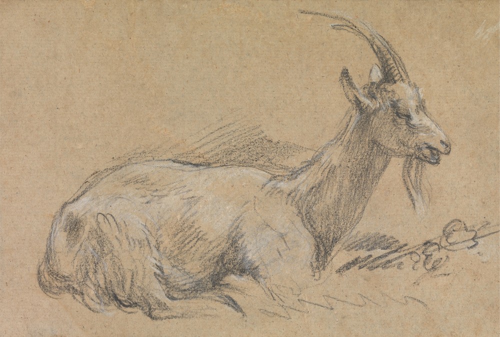 Study of a Goat (late 1770s)