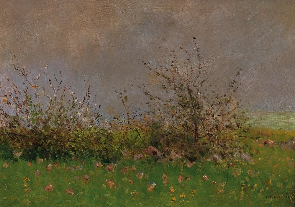 A Flower Meadow