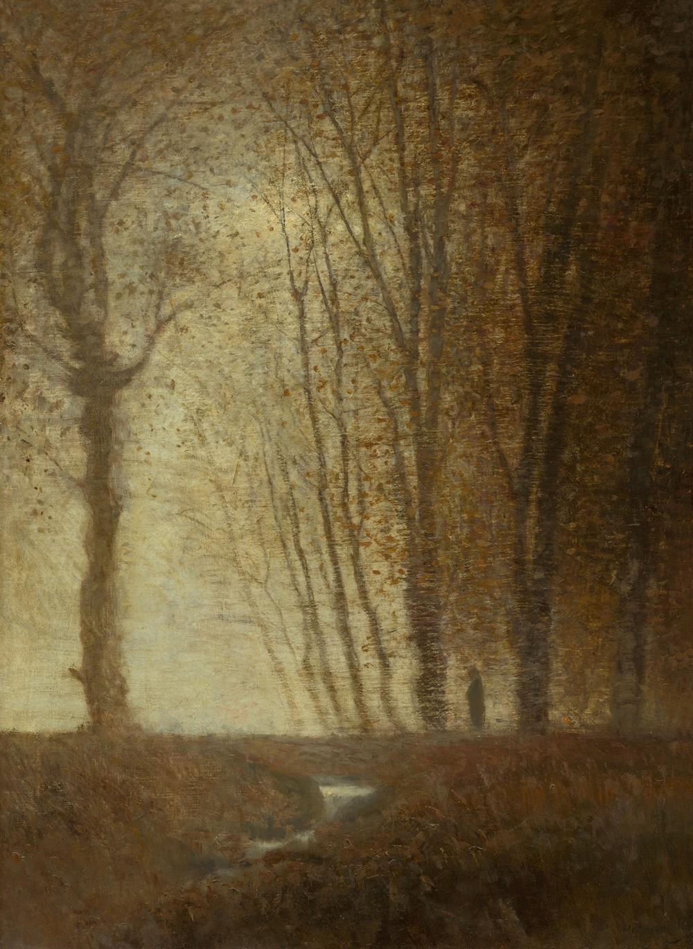 Edge of the Forest in the Moonlight