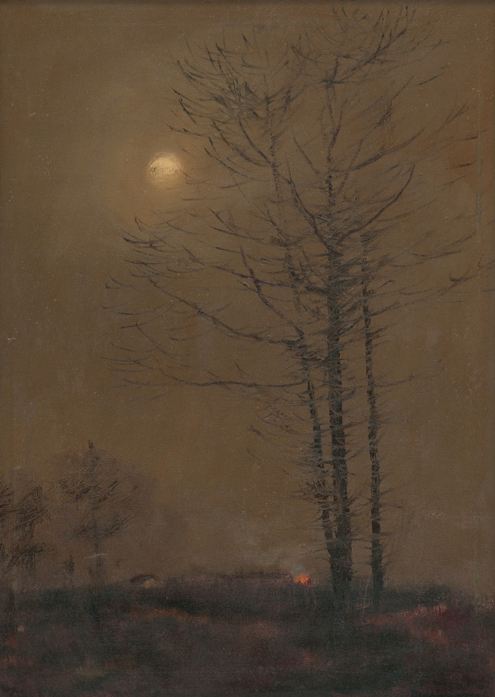 Evening landscape