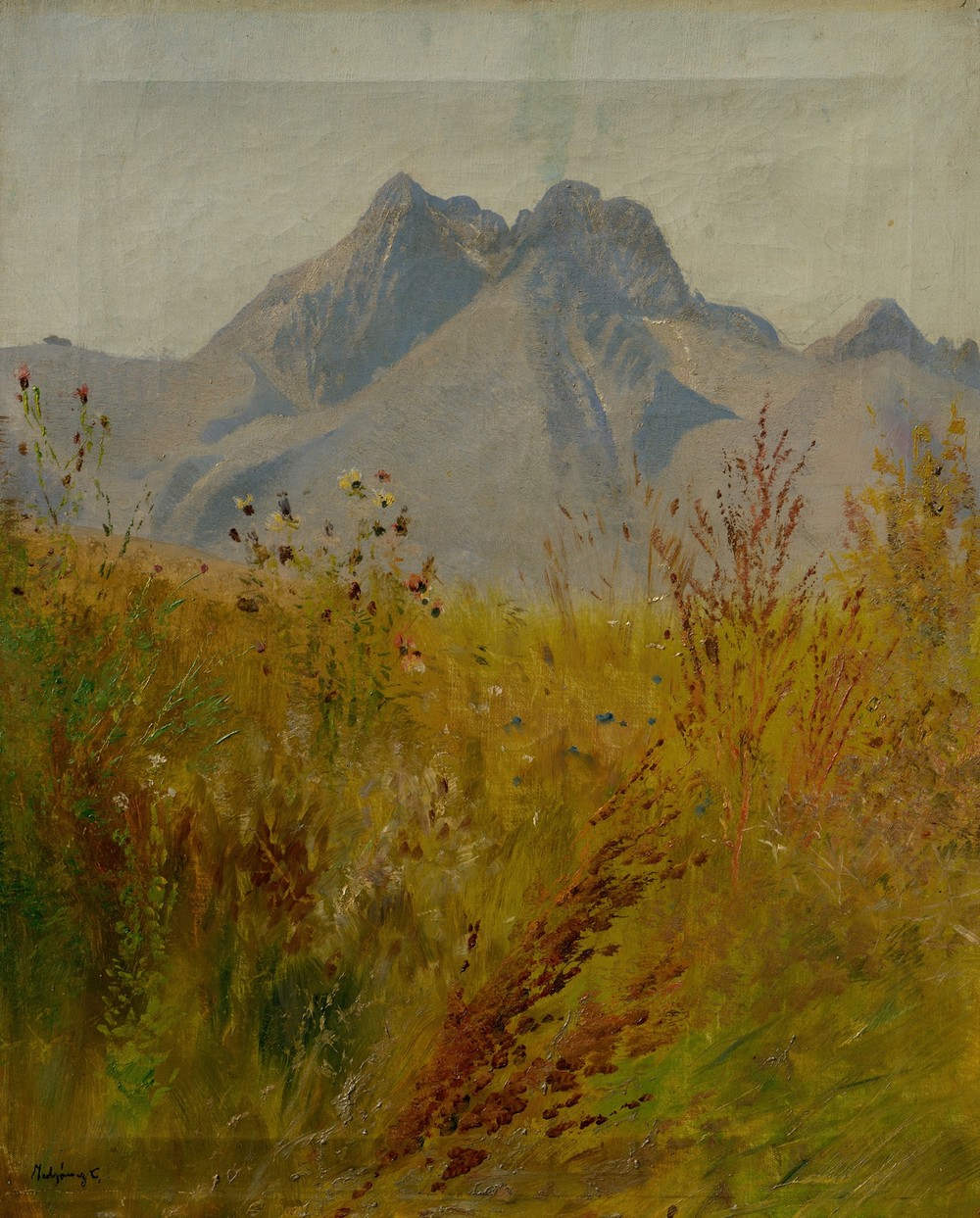 Lomnický Peak