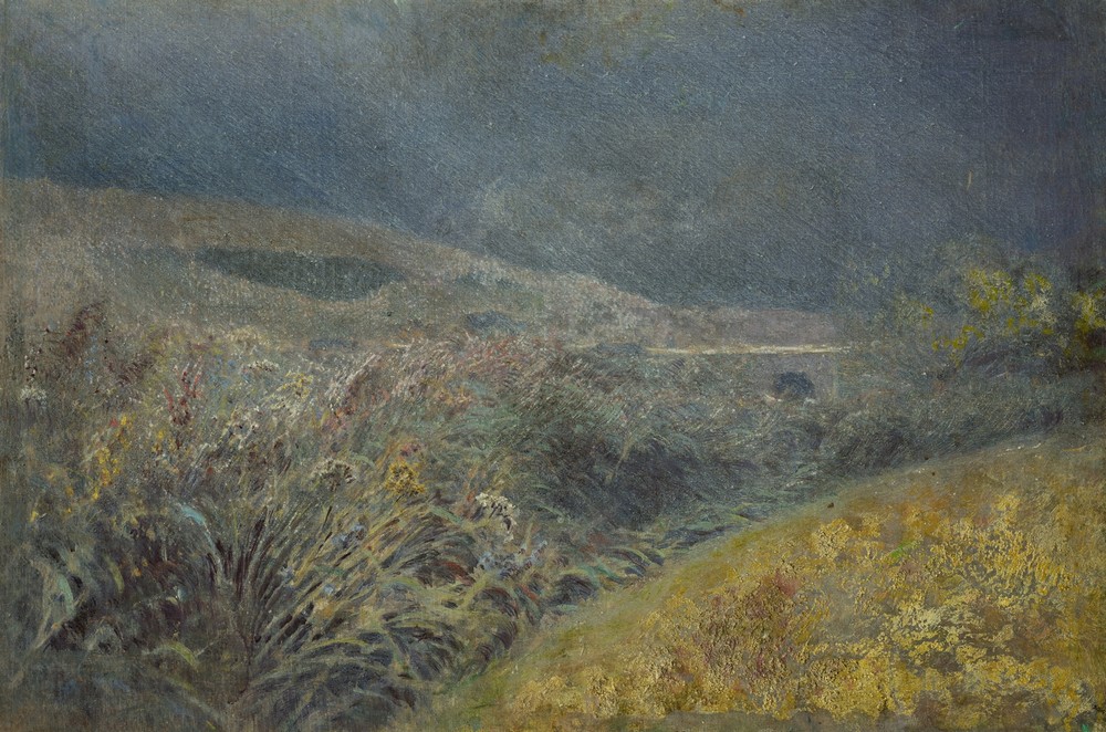 Motif from the Belianske Tatra