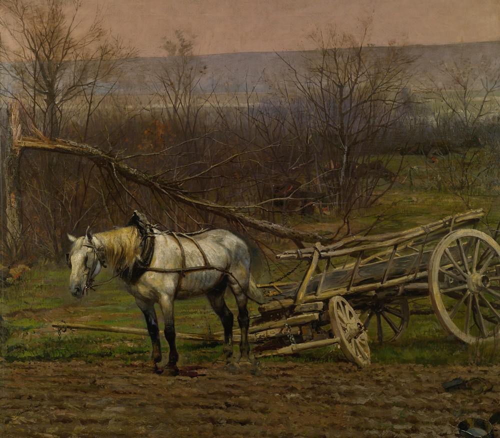 Charrette Attelée D’un Cheval Blanc