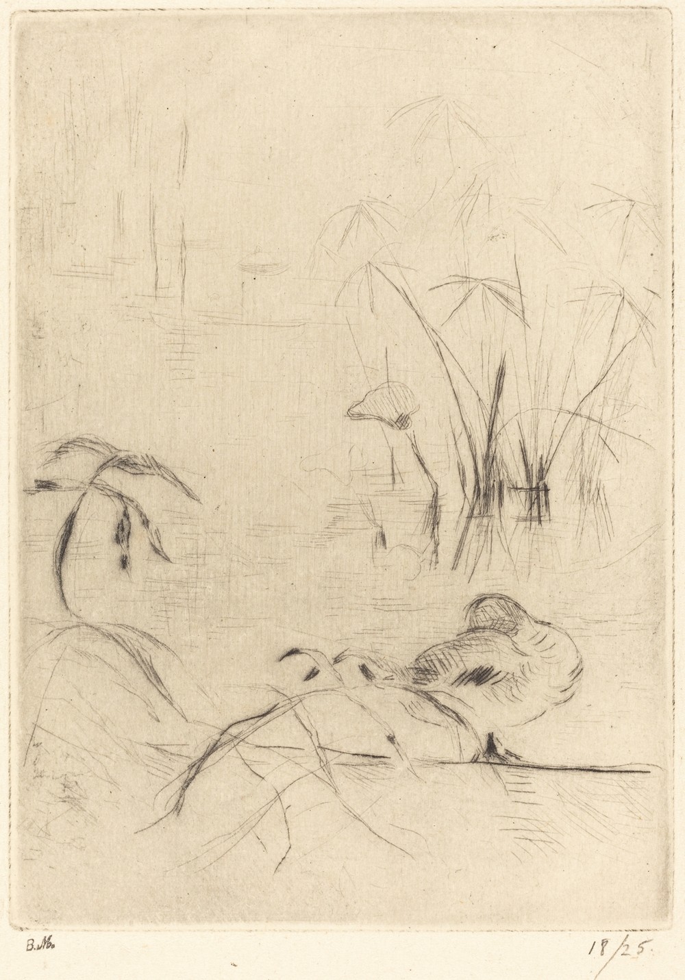 Ducks at Rest on the Bank