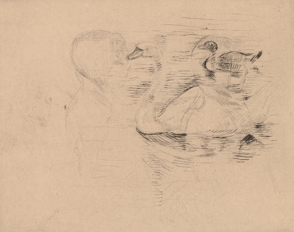Swan and Duck, with portraits of Julie (Cygne et canard, avec portraits de Julie, or Cygne et canard, essai)