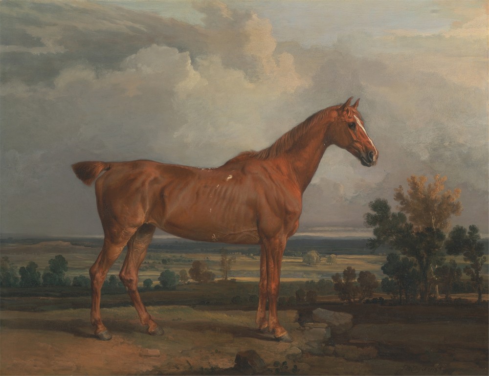 Hunter in a landscape