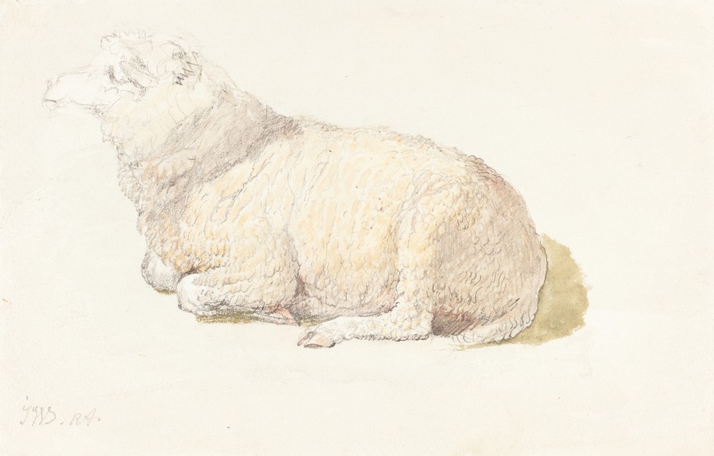 A Sheep Resting (c. 1800-1810)