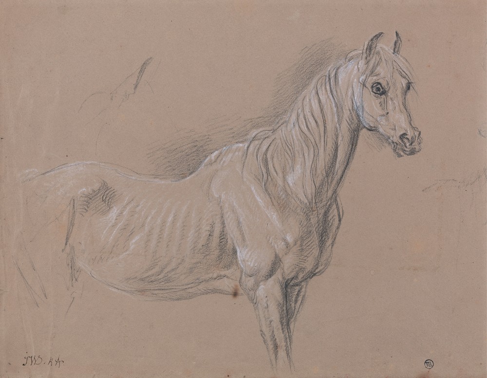 A Mare; Possibly a Study for ‘L’Amour de Cheval’