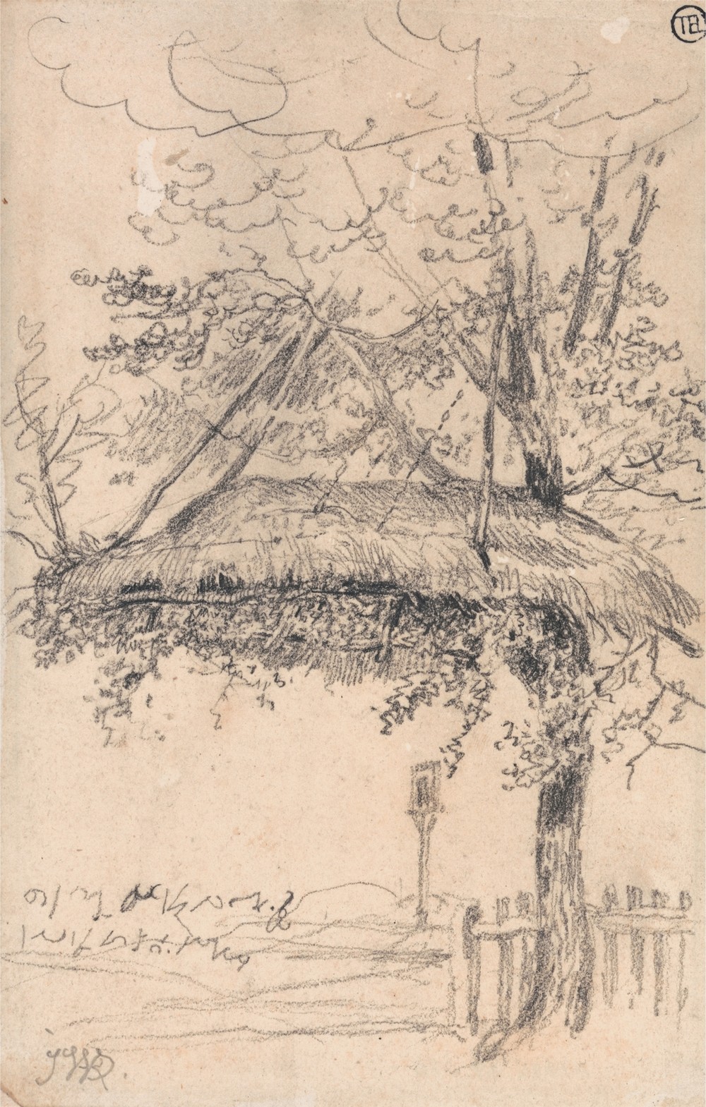 A Thatched Shelter Suspended from a Tree