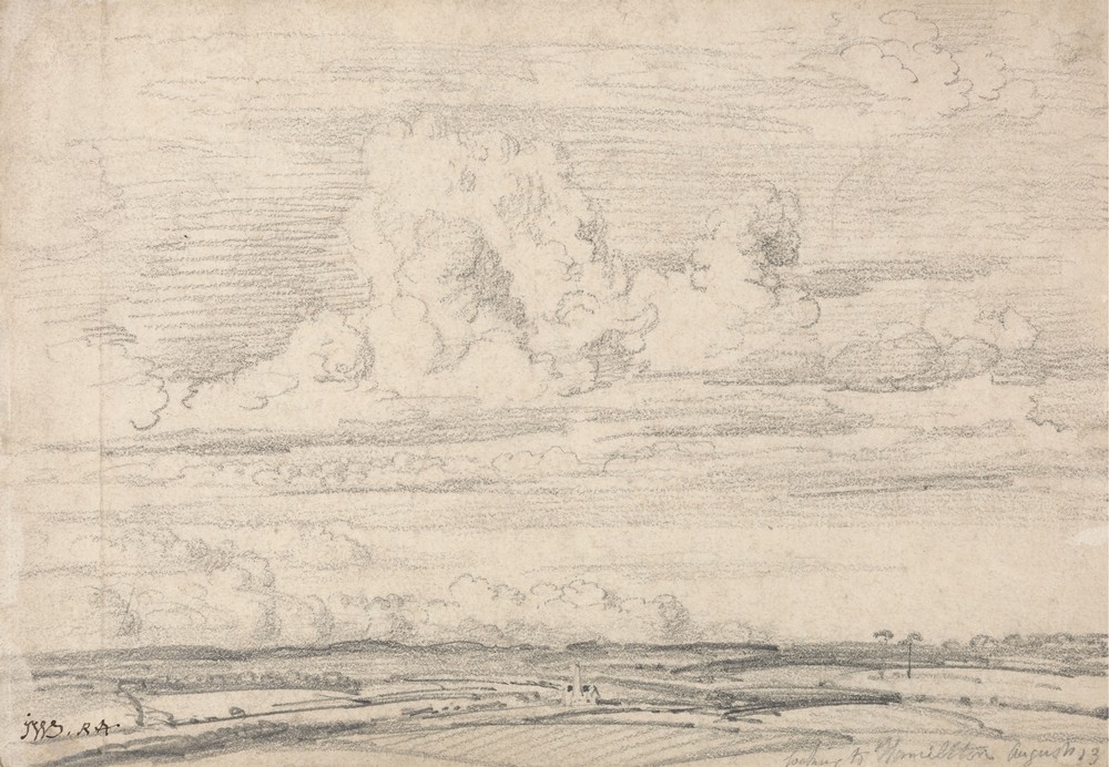 A View near Hamilton