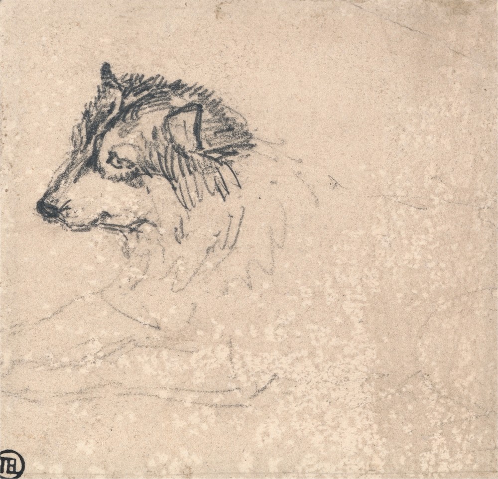 Arctic Dog, Facing Left
